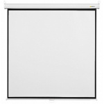 Digis Optimal-B [DSOB-4301] Экран настенный (формат 4:3  75"  120*160  MW)