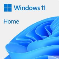 HAJ-00089 Windows 11 Home FPP P2 32-bit/64-bit RUS/EFTA USB (HAJ-00089)