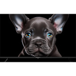 Topdevice 43" UHD VA Smart SBER 1.5-8 Гб BT 60Гц черный