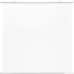 Экран Cactus 150x150см Map type CS-PSRM-150x150-WT 1:1 настенно-потолочный рулонный белый