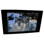 Фоторамка Espada E-21A  цвет черный 16Gb (45069)