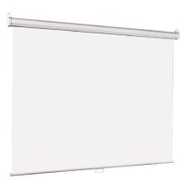Lumien Eco Picture [LEP-100119] Настенный экран  187х280см (рабочая область 153х272 см) Matte White, верх.кайма 30 см, прямоуголный корпус, возможност