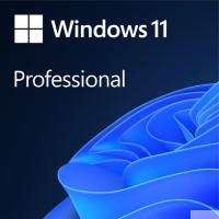 Microsoft Windows 11 [FQC-10529] Professional English 64-bit {1pk DSP OEI DVD}