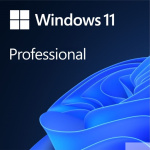 Microsoft Windows 11 [FQC-10529] Professional English 64-bit {1pk DSP OEI DVD}