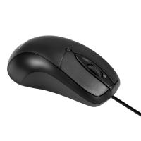 Exegate EX298195RUS Мышь ExeGate Professional Standard B100 (USB, оптическая, 1000dpi, 3D, 3 кнопки и колесо прокрутки, длина кабеля 1,5м, черная, Col