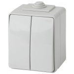 Эра Б0035976 11-1604-03 Выключатель двойной IP65  10АХ-250В  ОУ  Эксперт  серый