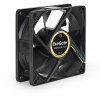 Фото  Exegate EX283378RUS Вентилятор ExeGate E08025B4P-PWM, 80x80x25 мм, двойной шарикоподшипник, 4pin, PWM, 22dBA