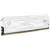 Фото  Netac DDR4 DIMM 8GB Shadow III 3200MHz CL16 1.35V / NTSHD4P32SP-08W / White / with radiator