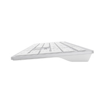 Фото  Клавиатура A4Tech Fstyler FX50 белый USB slim Multimedia (FX50 WHITE)