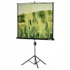 Lumien Eco View LEV-100101 Экран на треноге 150x150 см  1:1 напольный рулонный
