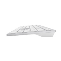 Фото  Клавиатура A4Tech Fstyler FX50 белый USB slim Multimedia (FX50 WHITE)