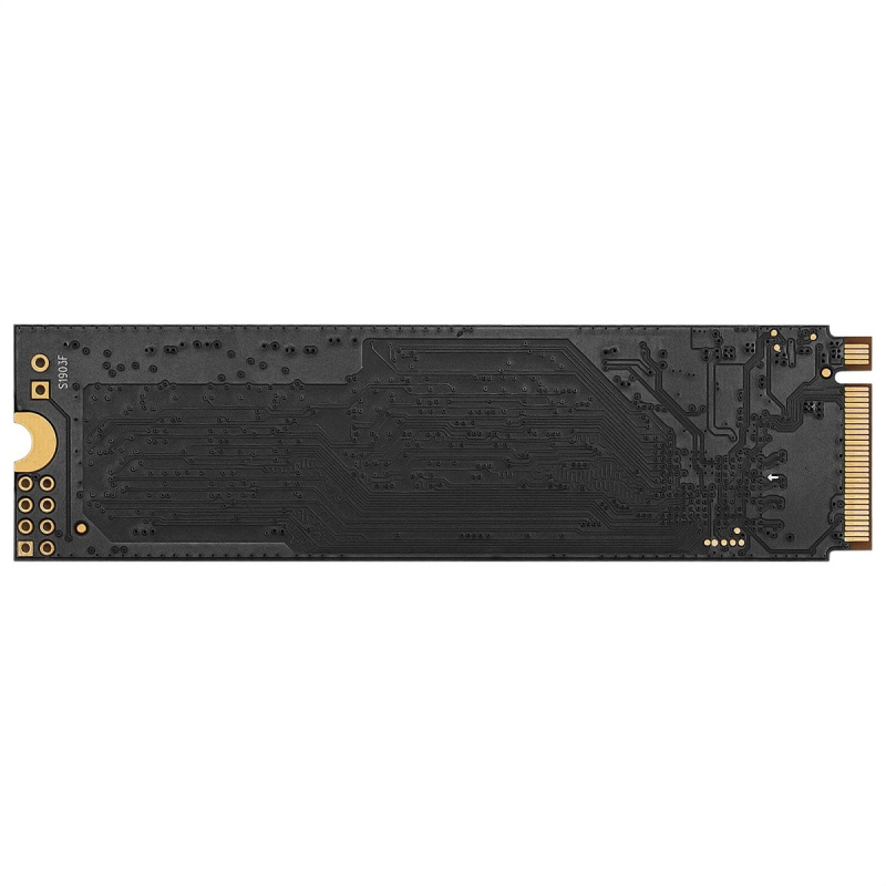 Фото  ExeGate SSD M.2 128GB Next Pro+ Series EX282320RUS