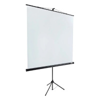 Фото  Lumien Eco View LEV-100101 Экран на треноге 150x150 см  1:1 напольный рулонный