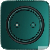 Фото  Яндекс Станция Макс 3 с Zigbee Зеленый [YNDX-00053Z]