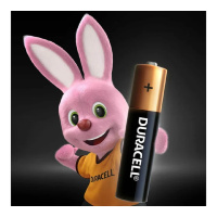 Фото  DURACELL LR03-4BL BASIC (48/192/29184) (AAA MN2400)(B0014046) (4 шт в уп-ке)