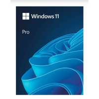 Фото  Microsoft Windows 11 Professional 64-bit English Int 1pk DSP OEI DVD лицензия с COA и носителем информации (FQC-10528)