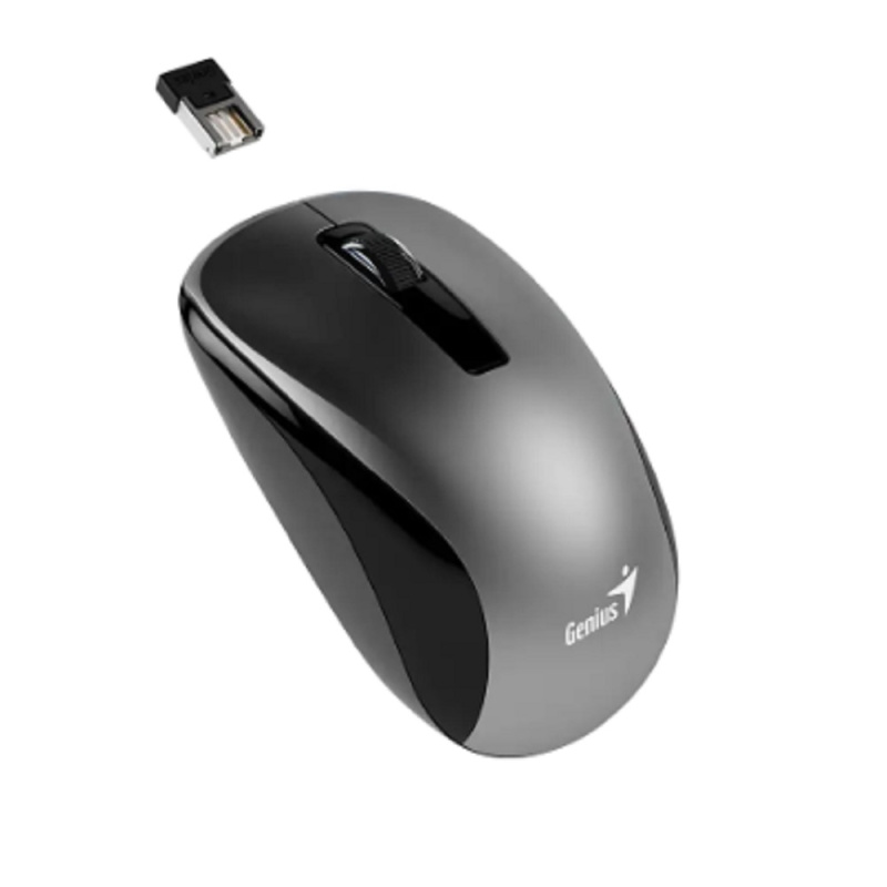 Фото  Genius Мышь NX-7010 Gray { оптическая, 1200 dpi, радио 2,4 Ггц, 1хАА, USB} [31030018405]