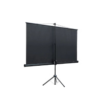 Фото  Lumien Eco View LEV-100114 Экран на штативе 115x200 см (раб.область 109х194 см) (88") Matte White 16:9